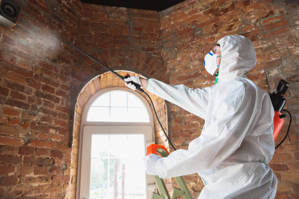  Staples, CT Mold Removal & Remediation Pros